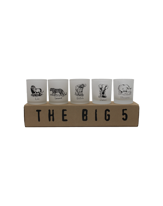 The Big 5 SA Straight Sided Whisky Frosted Set (B5-SW SET[F])