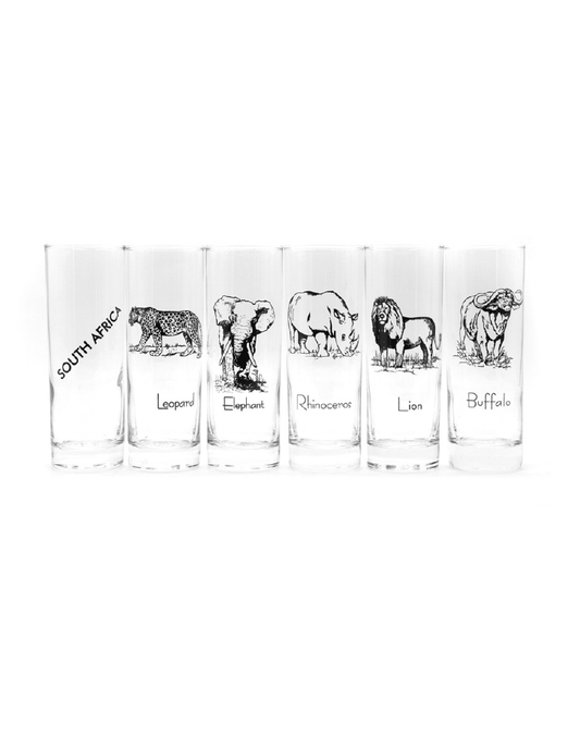 The Big 5 SA Zombie Clear Set (B5-ZOM SET[C])