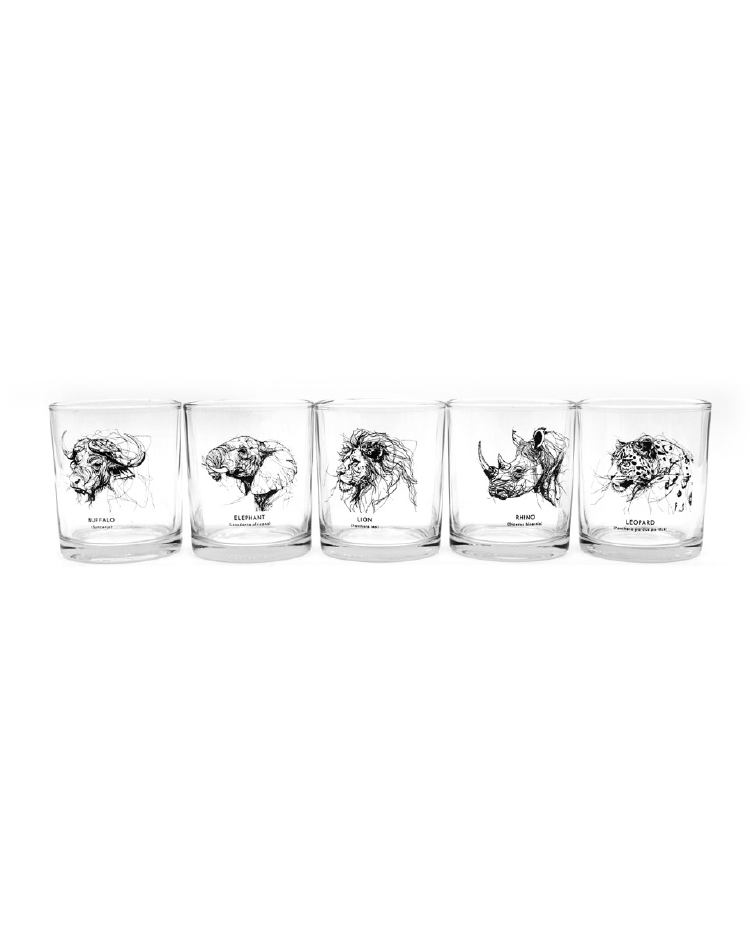 The New Big 5 SA Straight Sided Whisky Set (B5SA1 SW SET[C])