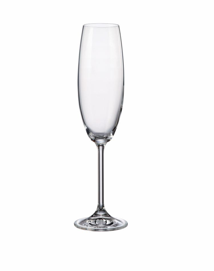GASTRO FLUTE 230ML (GAS004)