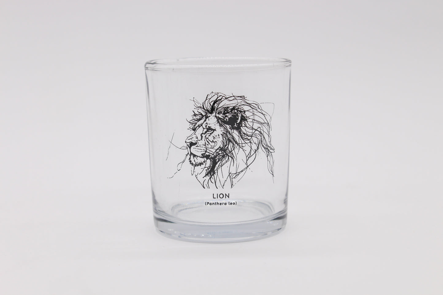 The New Big 5 SA Straight Sided Whisky Set (B5SA1 SW SET[C])